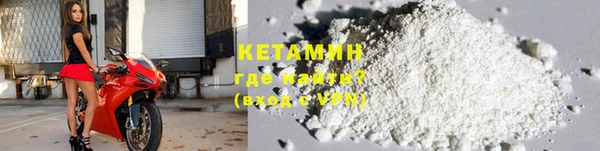 шишки Няндома