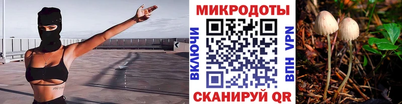 как найти закладки  Урус-Мартан  Галлюциногенные грибы Cubensis 