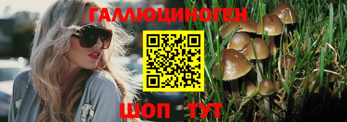 Псилоцибиновые грибы Magic Shrooms  Псилоцибиновые грибы Psilocybe  Вход с VPN  Урус-Мартан 